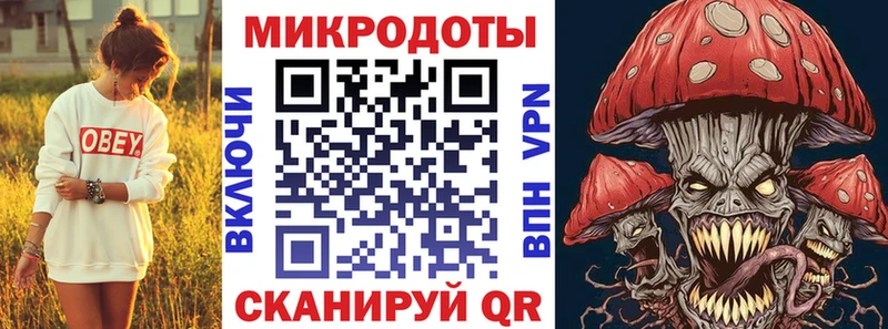 Псилоцибиновые грибы Magic Shrooms  Купить где  Карачаевск 