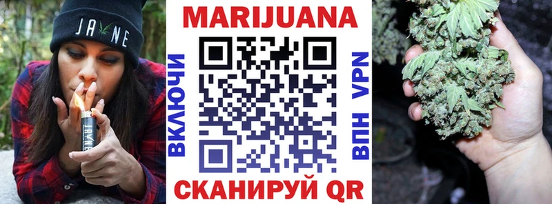 Купить закладки  Карачаевск  Конопля сатива 